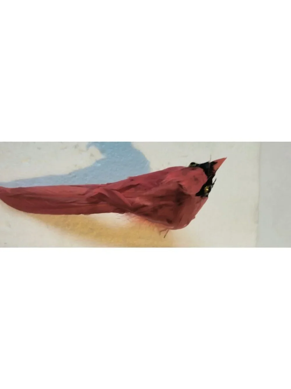 Red Cardinal Bird Figurine Ornament Feathers Wire Pick Craft Decoration Lot 4